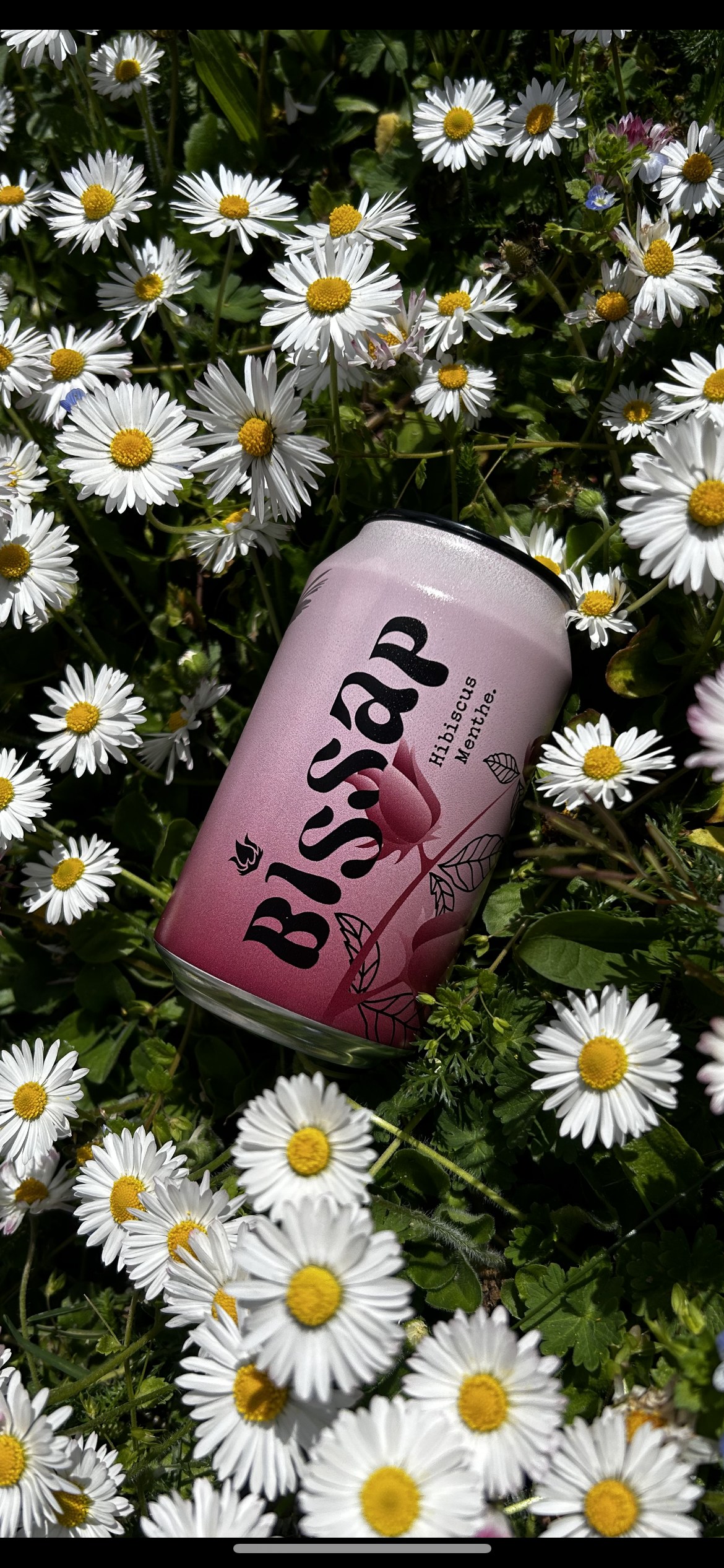 Bissap Drink · production 3